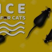CAT GAMES Mice Mouse Sounds Video For Cats CAT DOG TV