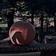 Giant Pumpkin Exploded