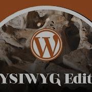 Ultra Basic WordPress Tutorials The WYSIWYG Editor