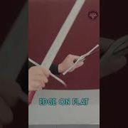 Edge ALONG Flat HOW TO PARRY With The Longsword