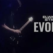 Elwood Stray Evolve Official Music Video