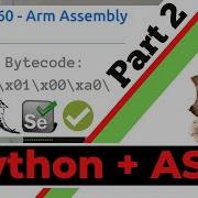Testing Python ARM Assembly Project With Pytest Selenium Part 2 Of 2