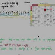 CHM4930 Пример задачи интерпретации таблицы кодонов 082020