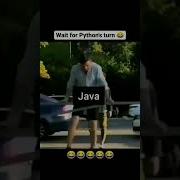 Wait For Python S Turn Python Vs Java Meme