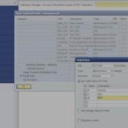 What Are User Defined Fields In SAP Business One