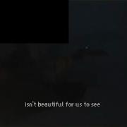 Not The Twin Skeletons No There S No Answer Lyrics Video