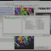 Beta20 Segmentation