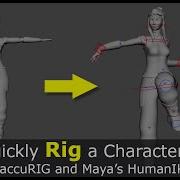 Quickly Rig A Character In AccuRig And Maya 2023 HumanIK