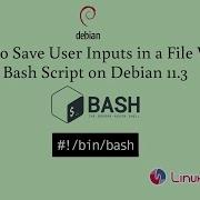 How To Save User Inputs In A File With Bash Script On Debian 11 3