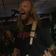 Hate5six 3weekoldroses August 11 2018