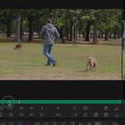AVID EFFECTS TRANSITIONS