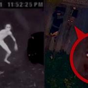 The Scariest Cryptid Videos Ever Captured