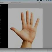 OfxSpeech Example Zoo TEST