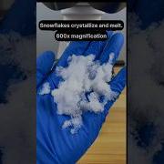 Snow Under The Microscope Microscope Microscopeview Microscopechallenge