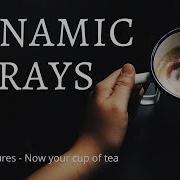 Dynamic Array Implementation Using Static Arrays Data Structures Part 1