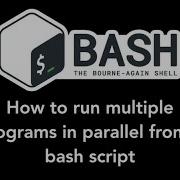 Shell Script Tutorials Run Multiple Commands Programs In Parallel On Linux Using Shell Script