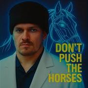Don T Push The Horses