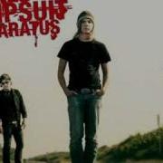 The Red Jumpsuit Apparatus Face Down Screamo Edition