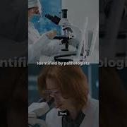 Reed Sternberg Cell Explained