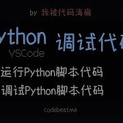 如何在 VSCode 中调试 Python 脚本代码 编程教程