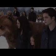 Twilight Wolves We Own The Night