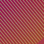 Nested While Loop