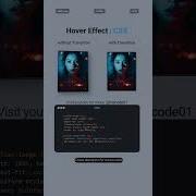 Amazing CSS Hover Effects Transitions Easy Tutorial Stunning Web Animations Csshovereffect