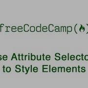 Basic CSS Use Attribute Selectors To Style Elements FreeCodeCamp
