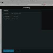 Codecademy Introduction To Ruby 2 16 Data Types Numbers Strings Booleans