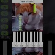 Wait A Minute Viral Cat Meme Piano Tutorial Shorts