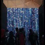 Interactive Waterfall Flora