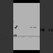 Dino Game From Python In Mobile