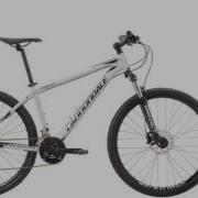 Cannondale Catalyst 2 White