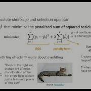 LASSO Shrinkage Regularization