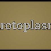 Protoplasm Meaning