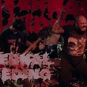 INTERNAL BLEEDING ROCHESTER NY BUG JAR 4 23 22