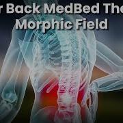 Lower Back MedBed Therapy Field Heal Bottom Region Cervical Hip Pelvis Tail Bone Bladder
