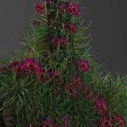 TyFlow Grass Growth Effect