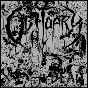 Slowly We Rot Live