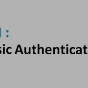 Rest API Basic Authentication