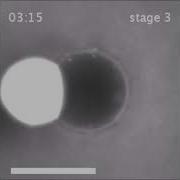 Spatiotemporal Control Of Cargo Delivery Performed By Programmable Self Propelled Janus Droplets
