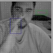 Optic Flow Test