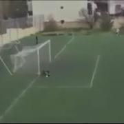 Grosse Bagarre En Amateur Football