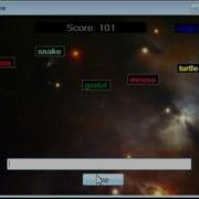 Visual Basic Typing Game