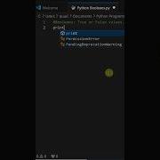 Python Basics Booleans Python