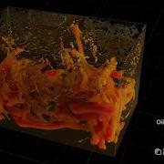 Oil Sloshing Vertical Motion At 10g Visualization Of The Turbulent Vortex Structures