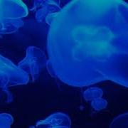 AK Decades Ambient PositiveVibes Chillout