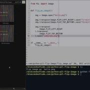 How To Flip Mirror An Image In Python Using PIL