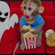 Monkey Baby Bon Bon Goes To The Movies With The Duckling And Swims With Puppy In Swimming Pool