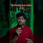 PART 516 BE SAFE FROM SNAKES Teluguhorrorstories Amarraghu Shorts Shortfeed